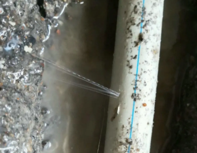 博兴测漏水哪家好