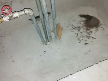 博兴卫生间测漏水价格明细