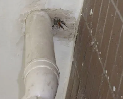 博兴漏水检测哪家好